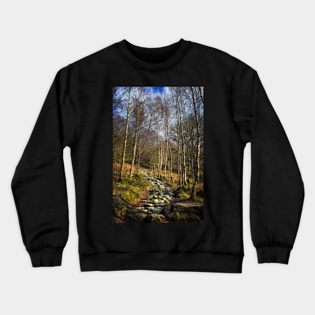 Way to Wander Crewneck Sweatshirt by InspiraImage